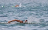 meeting natation 2017 eau libre 