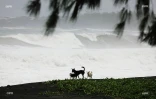 cyclone Dumazile