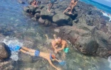 Tortue Manapany