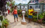Le Port concours jardins