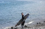 Surf