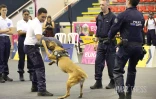 séminaire canin police 2025 