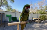 ZOO Etang-Salé