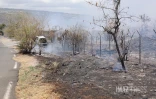 Feu de broussailles à Savannah Saint-Paul