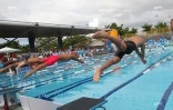 Natation 