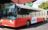 Nouveaux bus Kar'Ouest