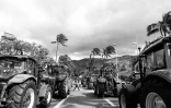 manifestation planteurs 