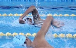 Natation comité régional Championnat hiver