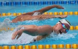 meeting natation 2015