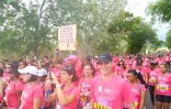 Odyssea 2014