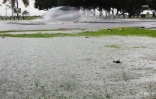Pluie