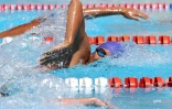 Natation