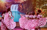 candidates miss reunion 2026