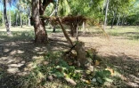 Land art