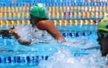 interclubs natation à plateau caillou 
