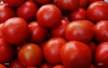 Fruits et légumes