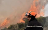 Incendie du Maïdo 8 novembre 2020