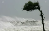 cyclone gamede 