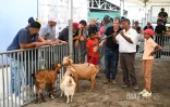 Foire de Bras-Panon