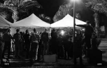 manifestation planteurs 