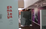 Ouverture Décade Gamaleya