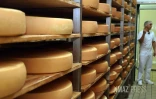 les fromageries de bourbon 