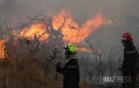 Dash 8 pour Feu de broussailles Ă Savannah Saint-Paul