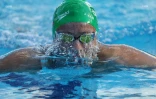 meeting natation 2017