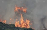 Incendie au Maïdo : la fumée visible de loin 