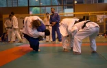 Judo