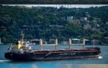 Photomontage de plusieurs vraquiers remplis de céréales ukrainiennes exportées dans le cadre d'un accord négocié sous l'égide de l'ONU