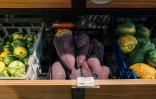 Les producteurs Panonnais ouvrent leur boutique de vente directe