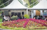 Florilèges 2015
