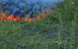 Eruption au Piton de la fournaise