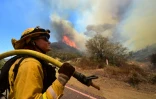 Un pompier lutte contre l'incendie qui ravage les alentours de Santa Clarita le 25 juillet 2016 en Californie