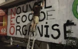 Extinction Rebellion redécore le barachois contre le projet NEO 