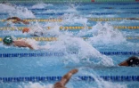 Championnats Natation Plateau Caillou