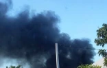 Feu de cannes Cambuston