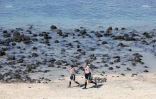 Swimrun : une quatrième édition