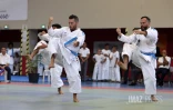 coupe karate kata 