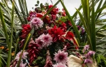 FLORILEGE 2025