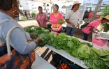 marché vrac plateau caillou 