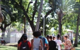Les jeunes de Saint-Paul célèbrent le patrimoine de l’île lors d’une aventure artistique inédite 