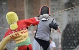 canne de combat 2016