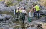 Sécheresse : le Sud Sauvage totalement à sec, poissons et crustacés en danger