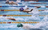 Championnats Natation Plateau Caillou