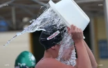 natation 