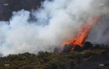 Feu du Maïdo