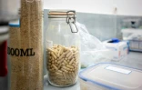 Des gélules de poudre d'iboga fabriquées par le Dr Yoan Mboussou dans un laboratoire à Akanda, le 13 février 2025 au Gabon