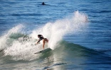 surf